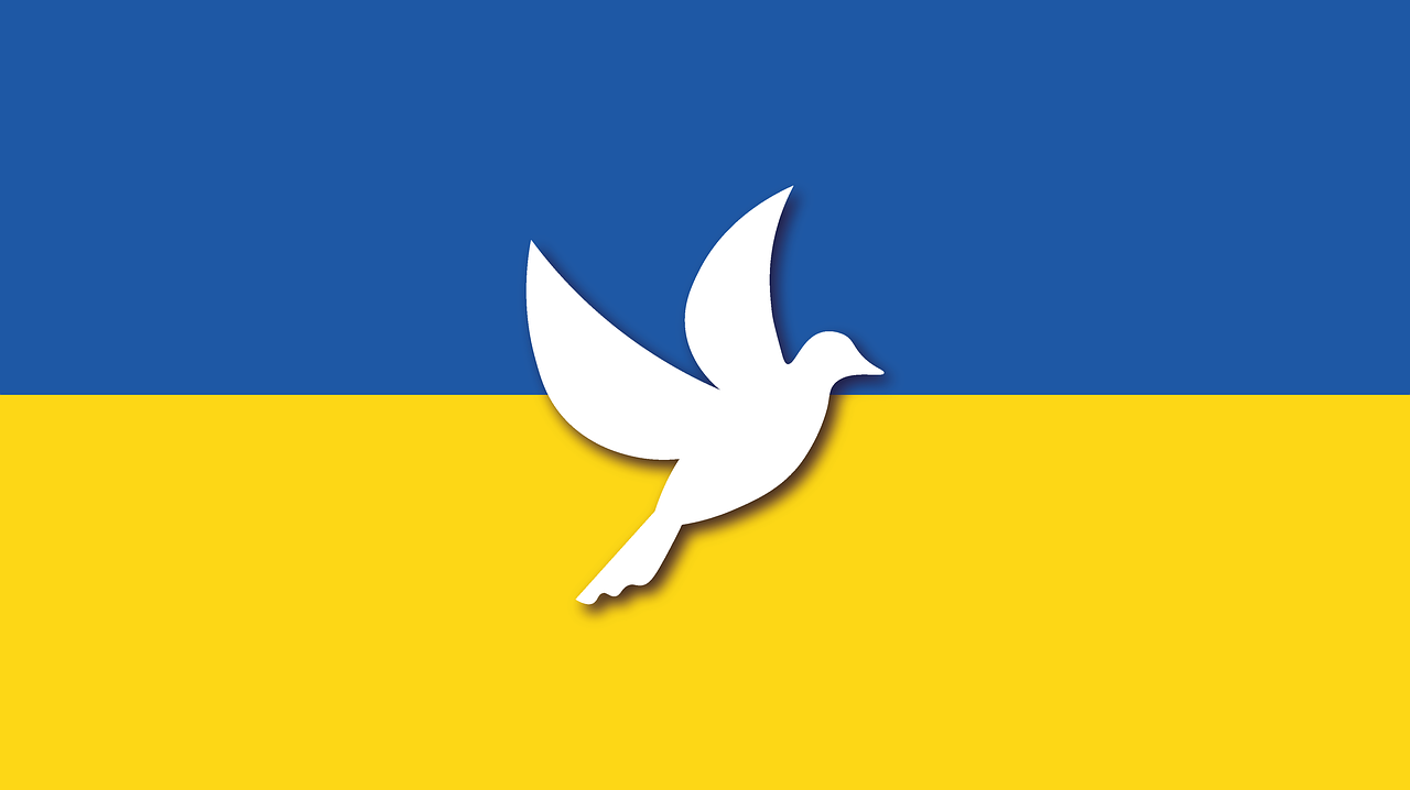 Ukrainische Flagge mit weißer Taube